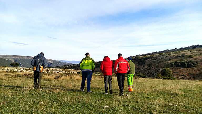 vivir con lobos asociacion abrego burgos 5_opt