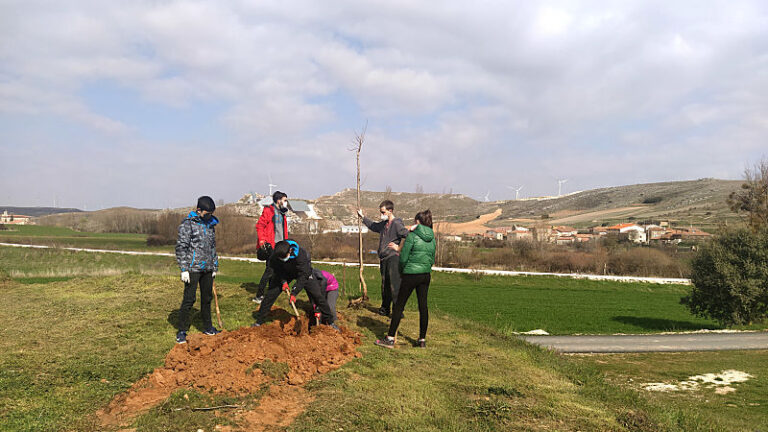 asociacion-abrego-plantacion-arboles-1-1