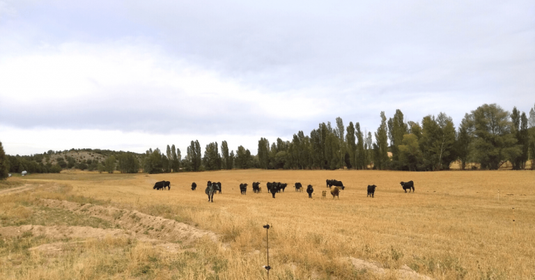 2021.09.11.-Jornada-de-agricultura-regenerativa-5-min